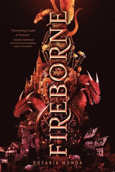 bokomslag Fireborne
