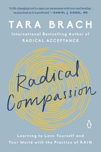 bokomslag Radical Compassion
