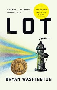 bokomslag Lot: Stories