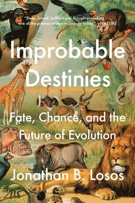 bokomslag Improbable Destinies: Fate, Chance, and the Future of Evolution