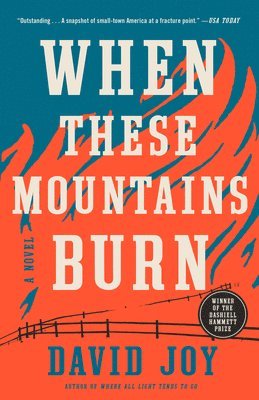 bokomslag When These Mountains Burn