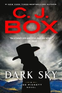 bokomslag Dark Sky