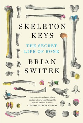 Skeleton Keys 1