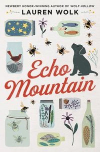 bokomslag Echo Mountain