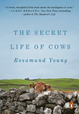 bokomslag The Secret Life of Cows