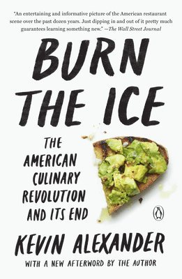 bokomslag Burn the Ice