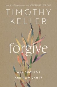 bokomslag Forgive