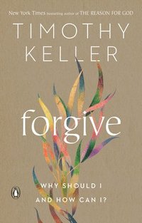 bokomslag Forgive