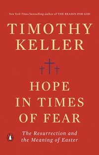 bokomslag Hope in Times of Fear