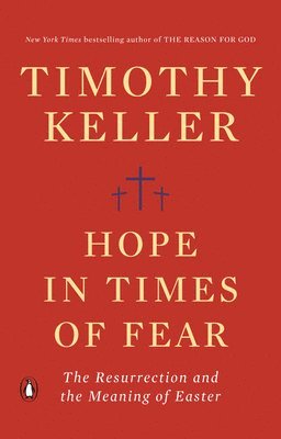 bokomslag Hope in Times of Fear