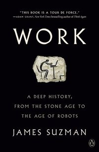 bokomslag Work: A Deep History, from the Stone Age to the Age of Robots