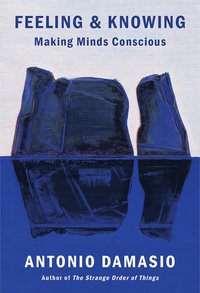 bokomslag Feeling & Knowing: Making Minds Conscious