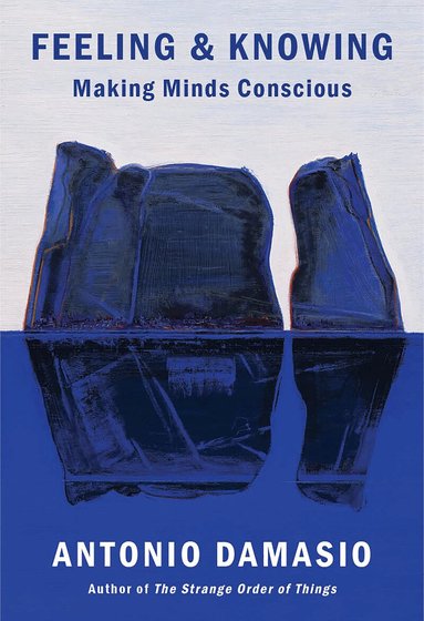 Antonio Damasio - Feeling & Knowing: Making Minds Conscious, Häftad