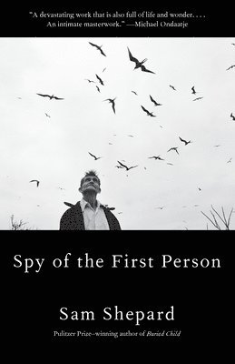 Spy Of The First Person 1