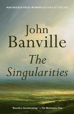 bokomslag The Singularities
