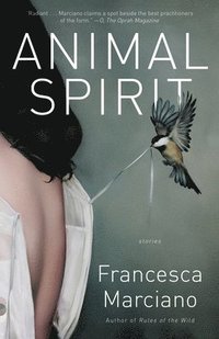 bokomslag Animal Spirit