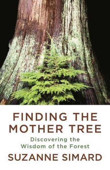 Suzanne Simard - Finding the Mother Tree, Häftad
