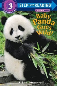 bokomslag Baby Panda Goes Wild!