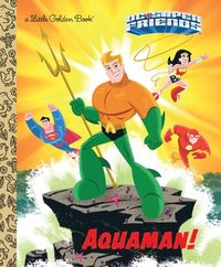 bokomslag Aquaman! (DC Super Friends)