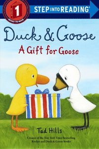 bokomslag Duck and Goose, A Gift for Goose