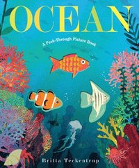 bokomslag Ocean: A Peek-Through Picture Book