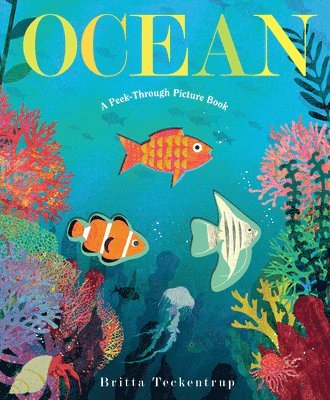 Ocean: A Peek-Through Picture Book 1