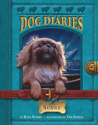 Dog Diaries #14: Sunny 1