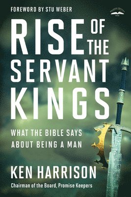 bokomslag Rise of the Servant Kings