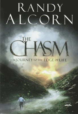 bokomslag The Chasm
