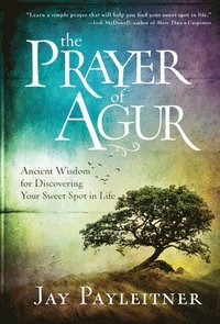 bokomslag The Prayer of Agur