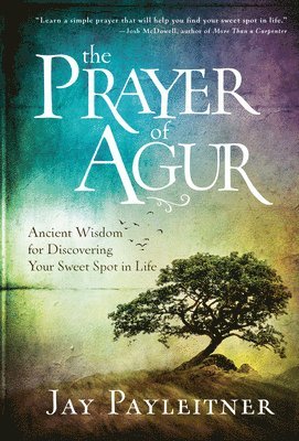Jay Payleitner - Prayer of Agur, Inbunden