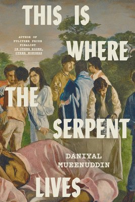 Daniyal Mueenuddin - This Is Where the Serpent Lives, Inbunden