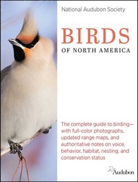 bokomslag National Audubon Society Master Guide to Birds