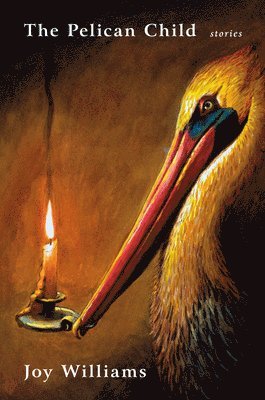 bokomslag The Pelican Child