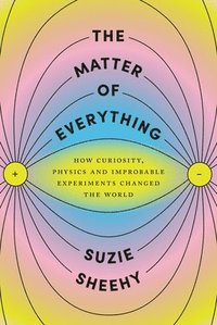 bokomslag The Matter of Everything: How Curiosity, Physics, and Improbable Experiments Changed the World