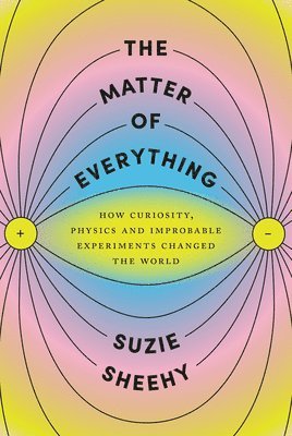 bokomslag The Matter of Everything: How Curiosity, Physics, and Improbable Experiments Changed the World