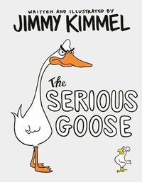 bokomslag The Serious Goose