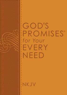 Thomas Nelson - God's Promises for Your Every Need, NKJV, Häftad