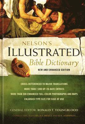 bokomslag Nelson's Illustrated Bible Dictionary: New and Enhanced Edition