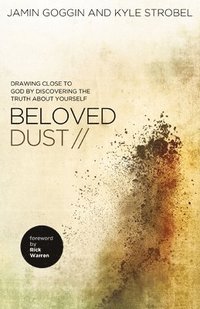 bokomslag Beloved Dust