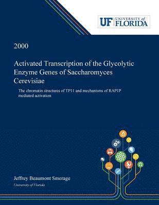 bokomslag Activated Transcription of the Glycolytic Enzyme Genes of Saccharomyces Cerevisiae