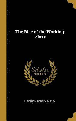 The Rise of the Working-Class 1