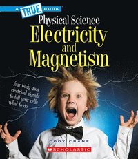 bokomslag Electricity and Magnetism (a True Book: Physical Science)