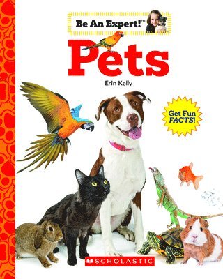 Erin Kelly - Pets (Be An Expert!), Häftad