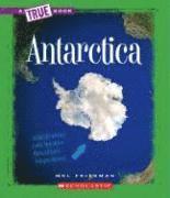 bokomslag Antarctica