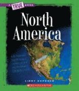 North America 1