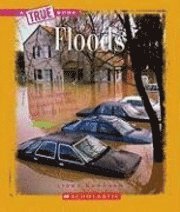 bokomslag Floods