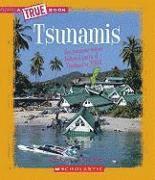 Chana Stiefel - Tsunamis, Inbunden