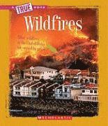 Wildfires 1