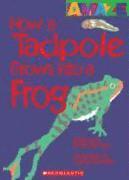 bokomslag How a Tadpole Grows Into a Frog